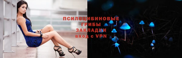 скорость Няндома