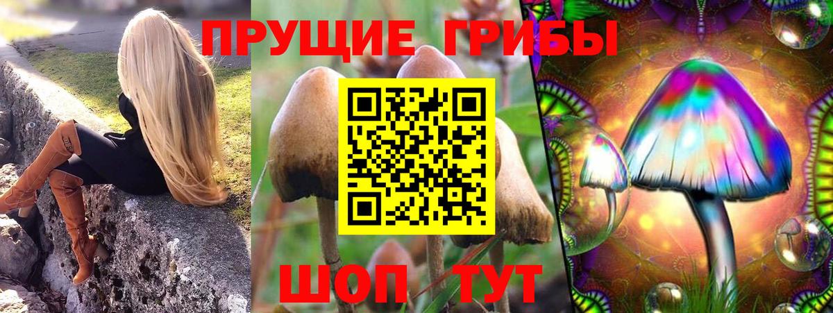 Норильск  Галлюциногенные грибы мухоморы  Псилоцибиновые грибы Magic Shrooms  Вход с VPN 